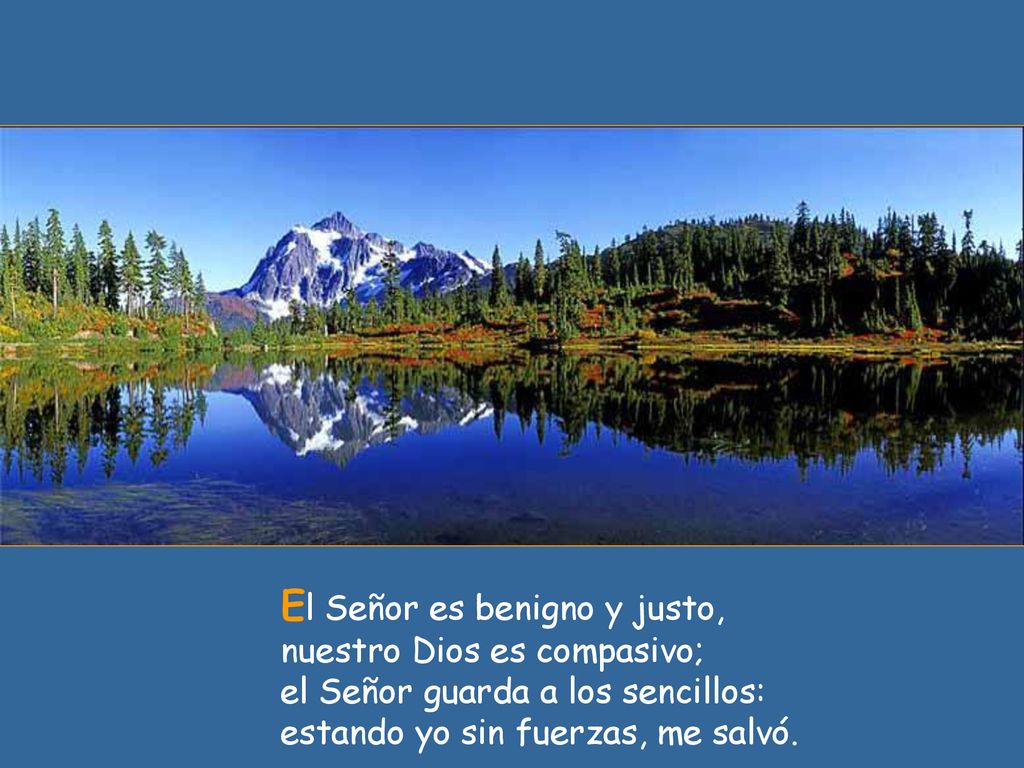 El Señor es benigno y justo, nuestro Dios es compasivo; el Señor guarda a los sencillos: estando yo sin fuerzas, me salvó.