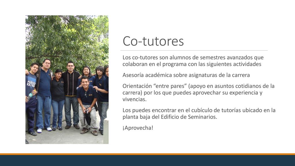 Co-tutores Los co-tutores son alumnos de semestres avanzados que colaboran en el programa con las siguientes actividades.