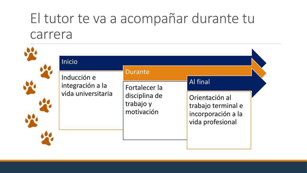 El tutor te va a acompañar durante tu carrera