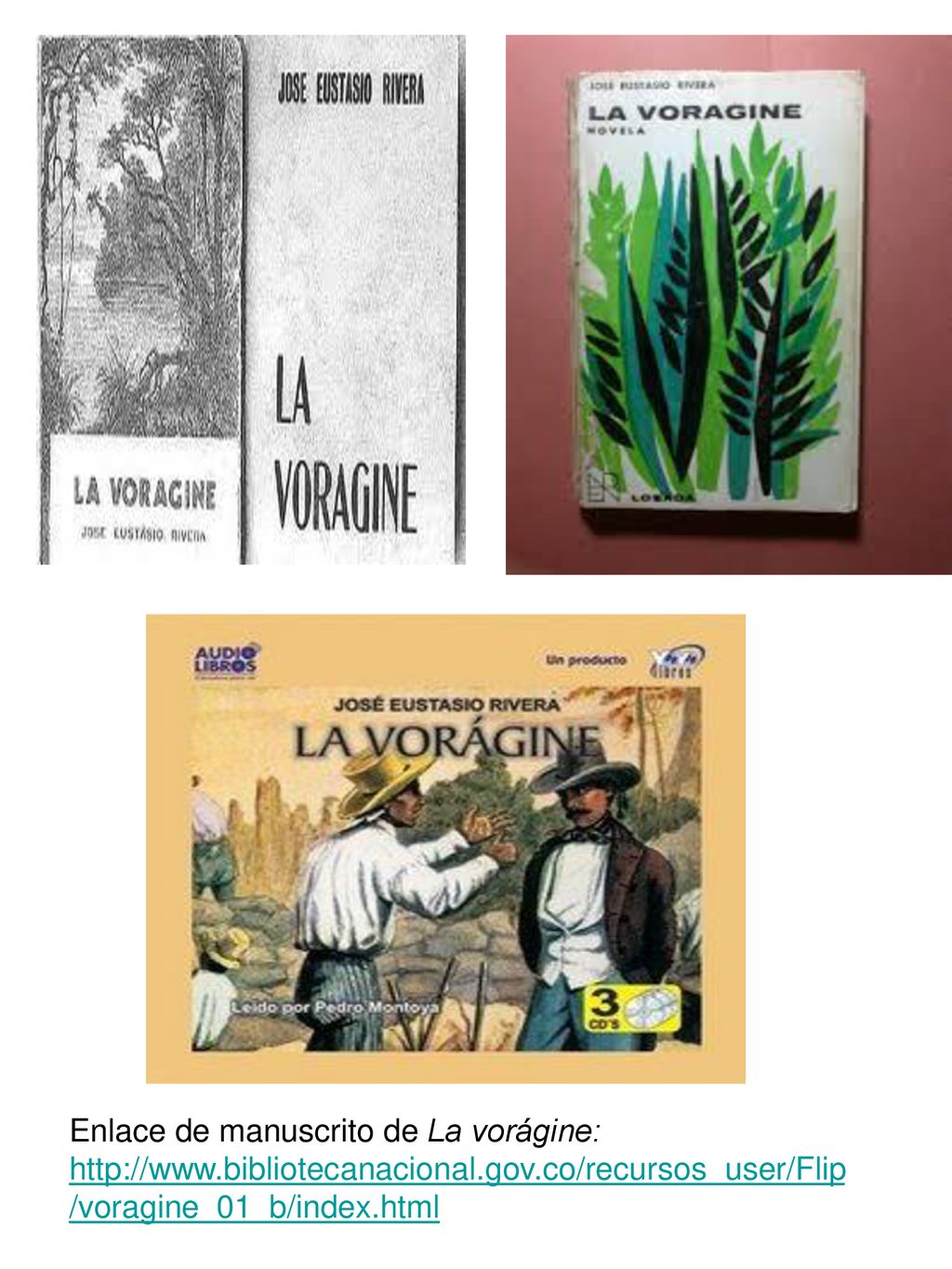 Enlace de manuscrito de La vorágine:   bibliotecanacional