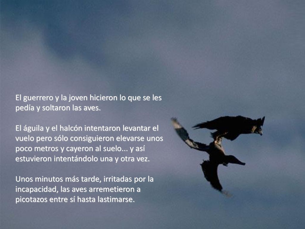 El guerrero y la joven hicieron lo que se les pedía y soltaron las aves.
