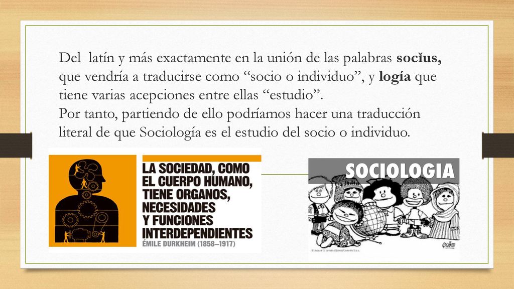 Del latín y más exactamente en la unión de las palabras socĭus, que vendría a traducirse como socio o individuo , y logía que tiene varias acepciones entre ellas estudio .