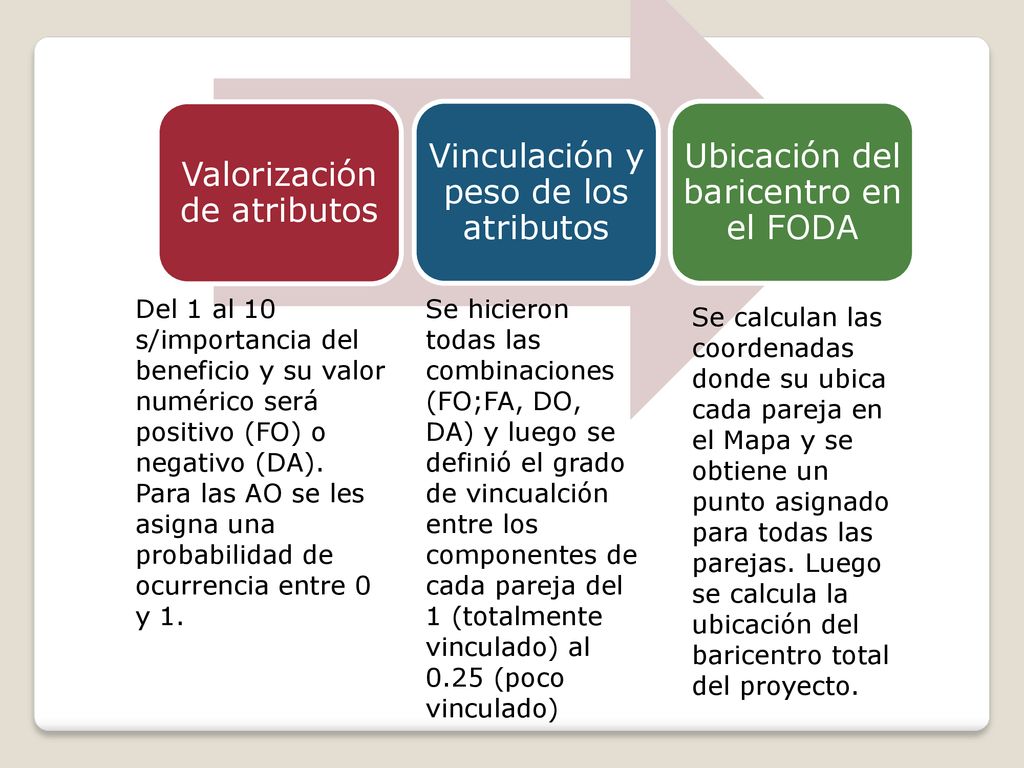 Valorización de atributos Vinculación y peso de los atributos