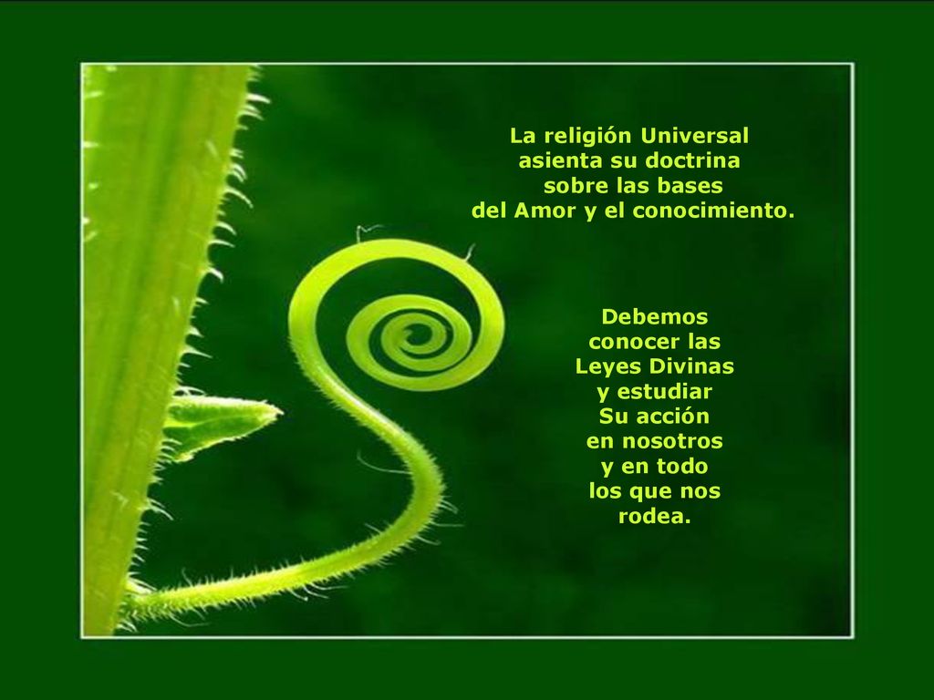 del Amor y el conocimiento. Debemos conocer las Leyes Divinas