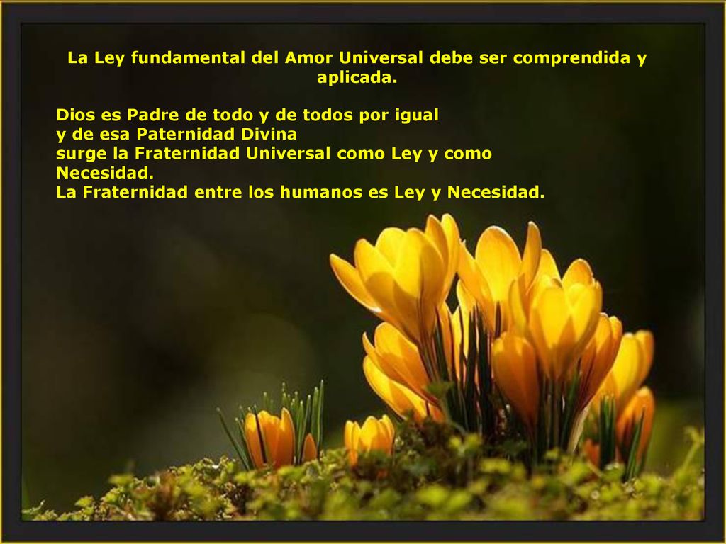 La Ley fundamental del Amor Universal debe ser comprendida y aplicada.