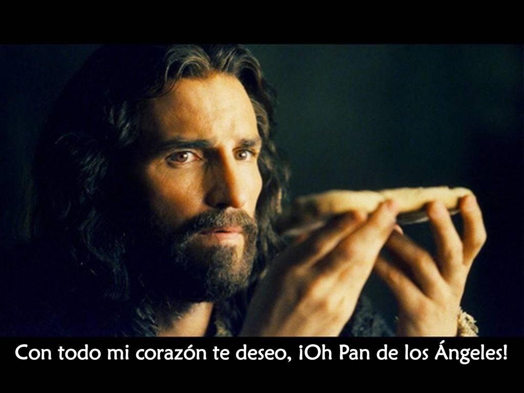 Con todo mi corazón te deseo, ¡Oh Pan de los Ángeles!