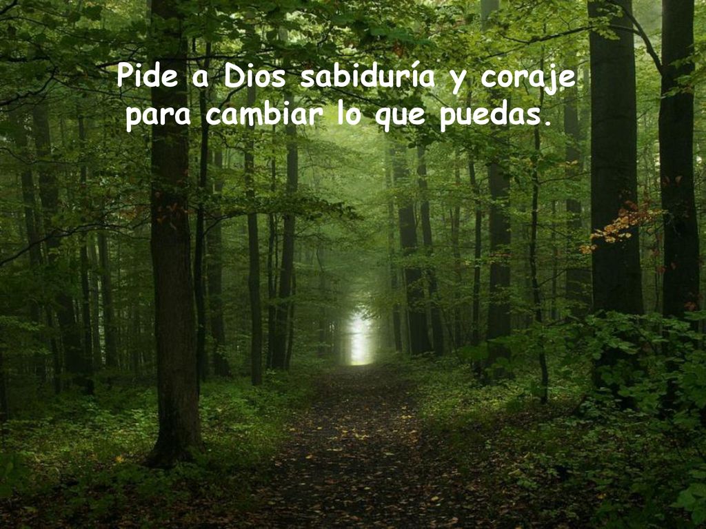 Pide a Dios sabiduría y coraje para cambiar lo que puedas.