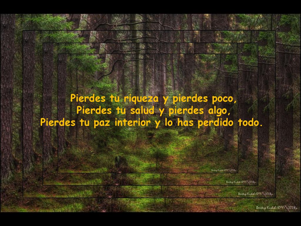 Pierdes tu riqueza y pierdes poco, Pierdes tu salud y pierdes algo,