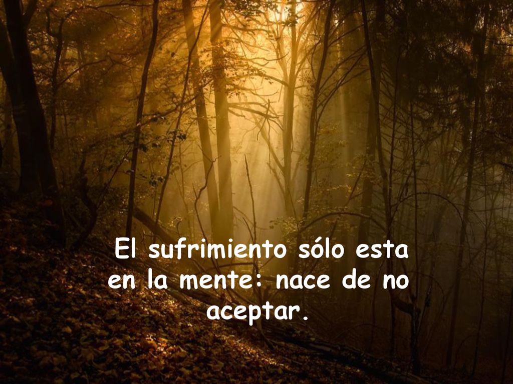 El sufrimiento sólo esta en la mente: nace de no aceptar.