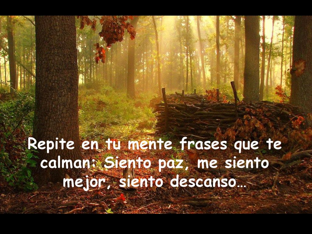 Repite en tu mente frases que te calman: Siento paz, me siento mejor, siento descanso…