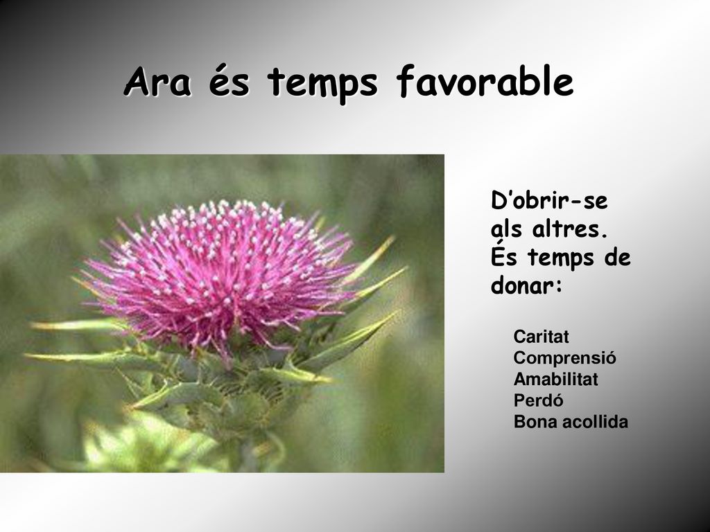 Ara és temps favorable D’obrir-se als altres. És temps de donar: