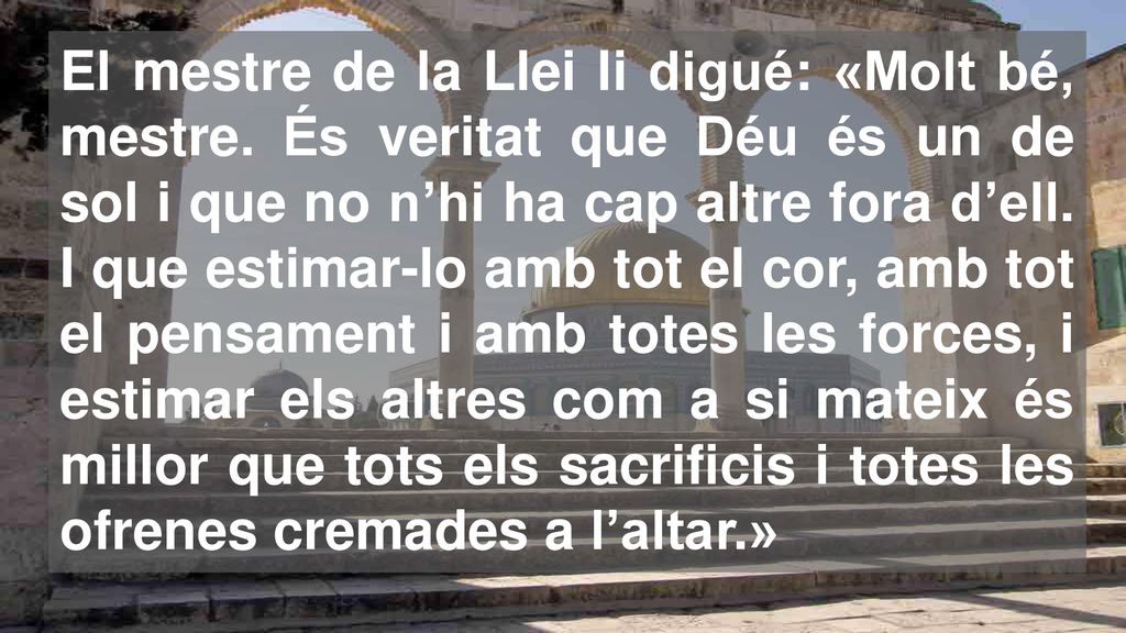 El mestre de la Llei li digué: «Molt bé, mestre