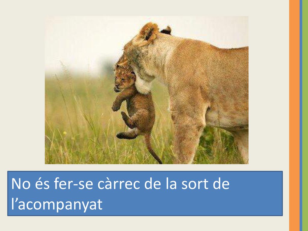 No és fer-se càrrec de la sort de l’acompanyat