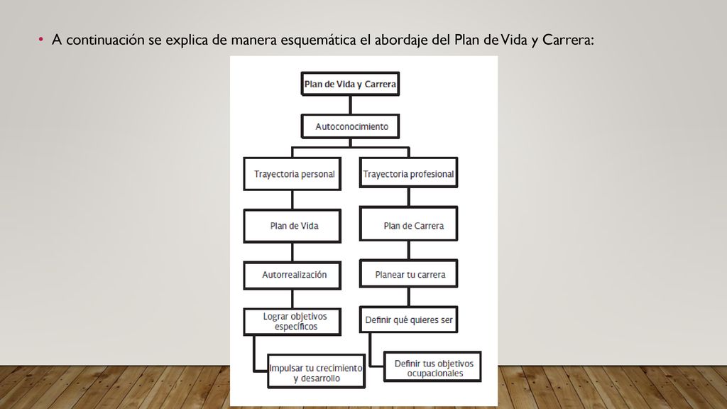 A continuación se explica de manera esquemática el abordaje del Plan de Vida y Carrera: