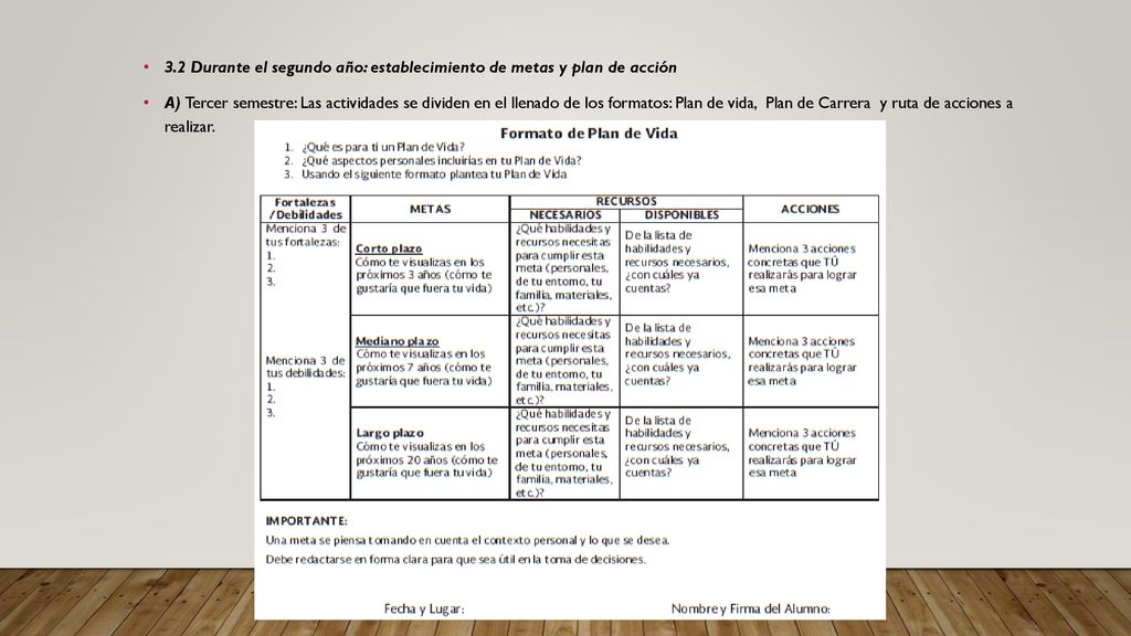 3.2 Durante el segundo año: establecimiento de metas y plan de acción