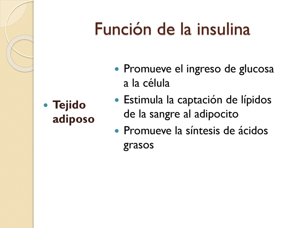 Función de la insulina Promueve el ingreso de glucosa a la célula