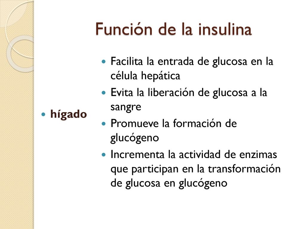 Función de la insulina Facilita la entrada de glucosa en la célula hepática. Evita la liberación de glucosa a la sangre.