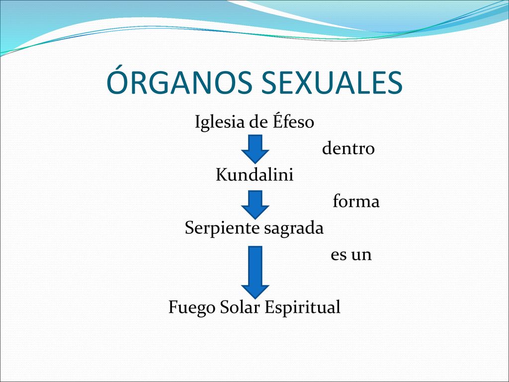 ÓRGANOS SEXUALES Iglesia de Éfeso dentro Kundalini forma Serpiente sagrada es un Fuego Solar Espiritual
