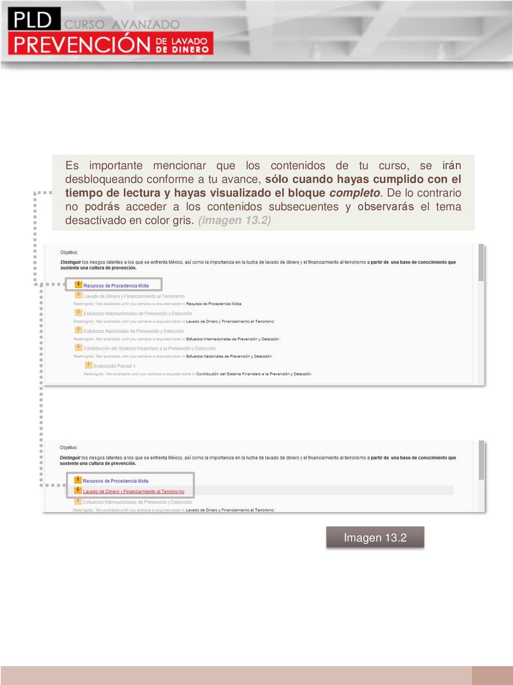 Es importante mencionar que los contenidos de tu curso, se irán desbloqueando conforme a tu avance, sólo cuando hayas cumplido con el tiempo de lectura y hayas visualizado el bloque completo. De lo contrario no podrás acceder a los contenidos subsecuentes y observarás el tema desactivado en color gris. (imagen 13.2)