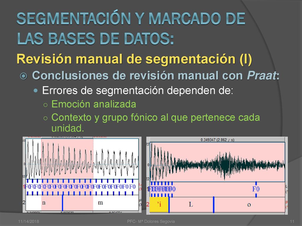 Segmentación y marcado de las bases de datos: