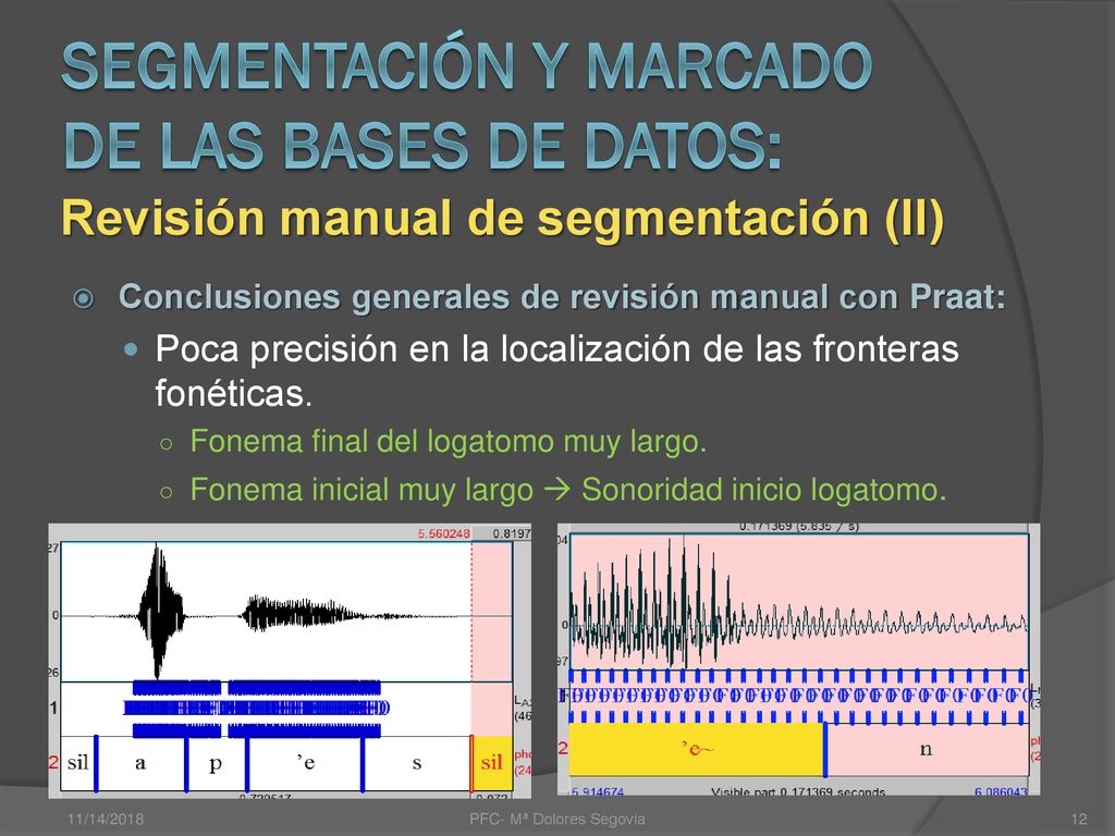 Segmentación y marcado de las bases de datos: