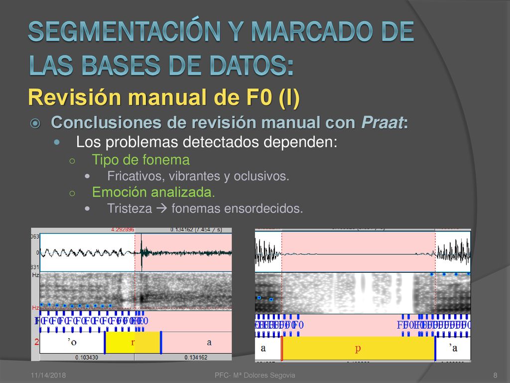 Segmentación y marcado de las bases de datos: