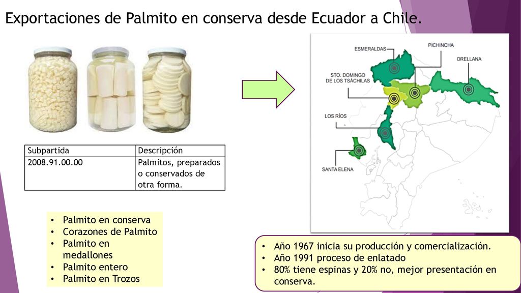 Exportaciones de Palmito en conserva desde Ecuador a Chile.