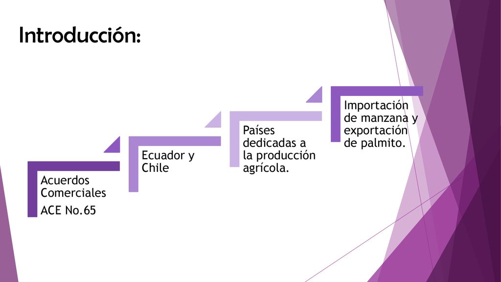 Introducción: Importación de manzana y exportación de palmito.