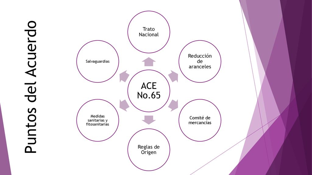 Puntos del Acuerdo ACE No.65 Trato Nacional Reducción de aranceles