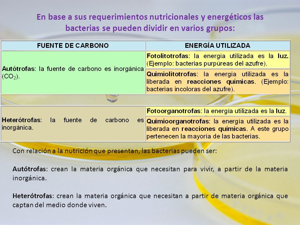 En base a sus requerimientos nutricionales y energéticos las bacterias se pueden dividir en varios grupos: