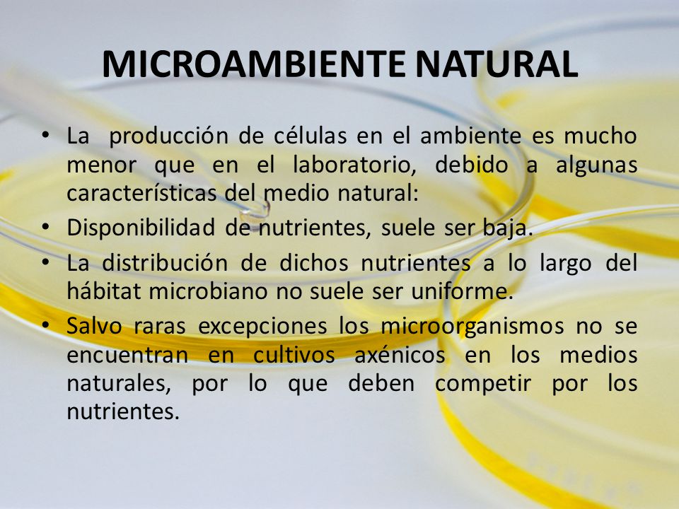 MICROAMBIENTE NATURAL