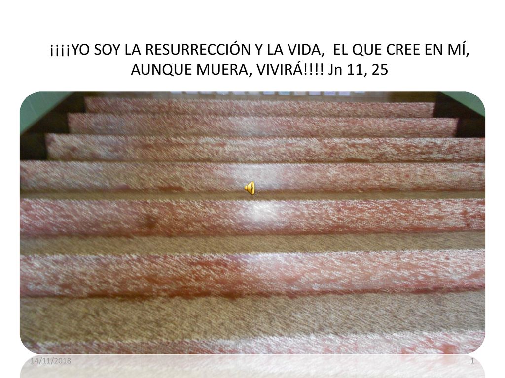 ¡¡¡¡YO SOY LA RESURRECCIÓN Y LA VIDA, EL QUE CREE EN MÍ, AUNQUE MUERA, VIVIRÁ!!!! Jn 11, 25
