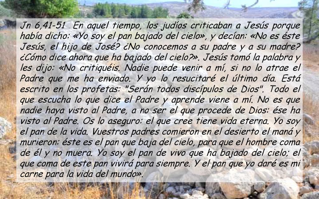 Jn 6,41-51 En aquel tiempo, los judíos criticaban a Jesús porque había dicho: «Yo soy el pan bajado del cielo», y decían: «No es éste Jesús, el hijo de José.
