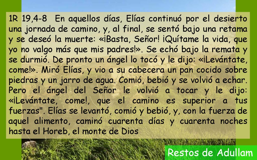 1R 19,4-8 En aquellos días, Elías continuó por el desierto una jornada de camino, y, al final, se sentó bajo una retama y se deseó la muerte: «¡Basta, Señor! ¡Quítame la vida, que yo no valgo más que mis padres!». Se echó bajo la remata y se durmió. De pronto un ángel lo tocó y le dijo: «¡Levántate, come!». Miró Elías, y vio a su cabecera un pan cocido sobre piedras y un jarro de agua. Comió, bebió y se volvió a echar. Pero el ángel del Señor le volvió a tocar y le dijo: «¡Levántate, come!, que el camino es superior a tus fuerzas . Elías se levantó, comió y bebió, y, con la fuerza de aquel alimento, caminó cuarenta días y cuarenta noches hasta el Horeb, el monte de Dios