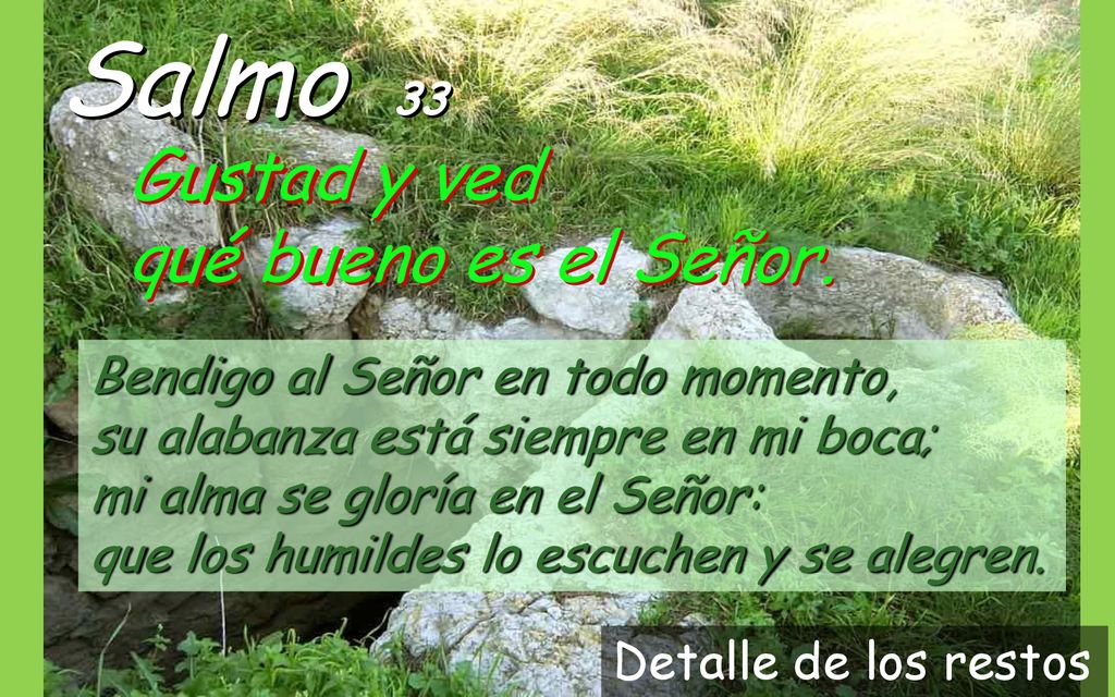 Salmo 33 Gustad y ved qué bueno es el Señor.