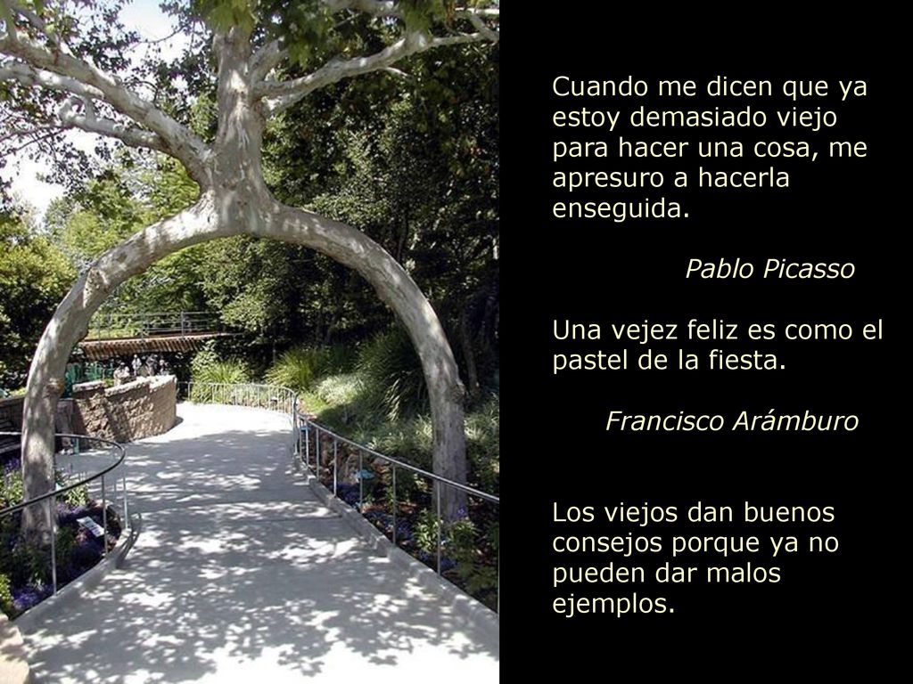 Cuando me dicen que ya estoy demasiado viejo para hacer una cosa, me apresuro a hacerla enseguida.