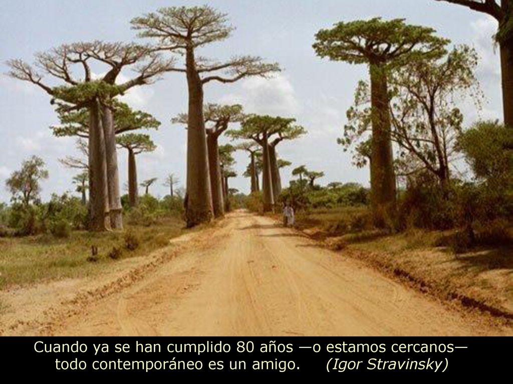 Cuando ya se han cumplido 80 años —o estamos cercanos— todo contemporáneo es un amigo.