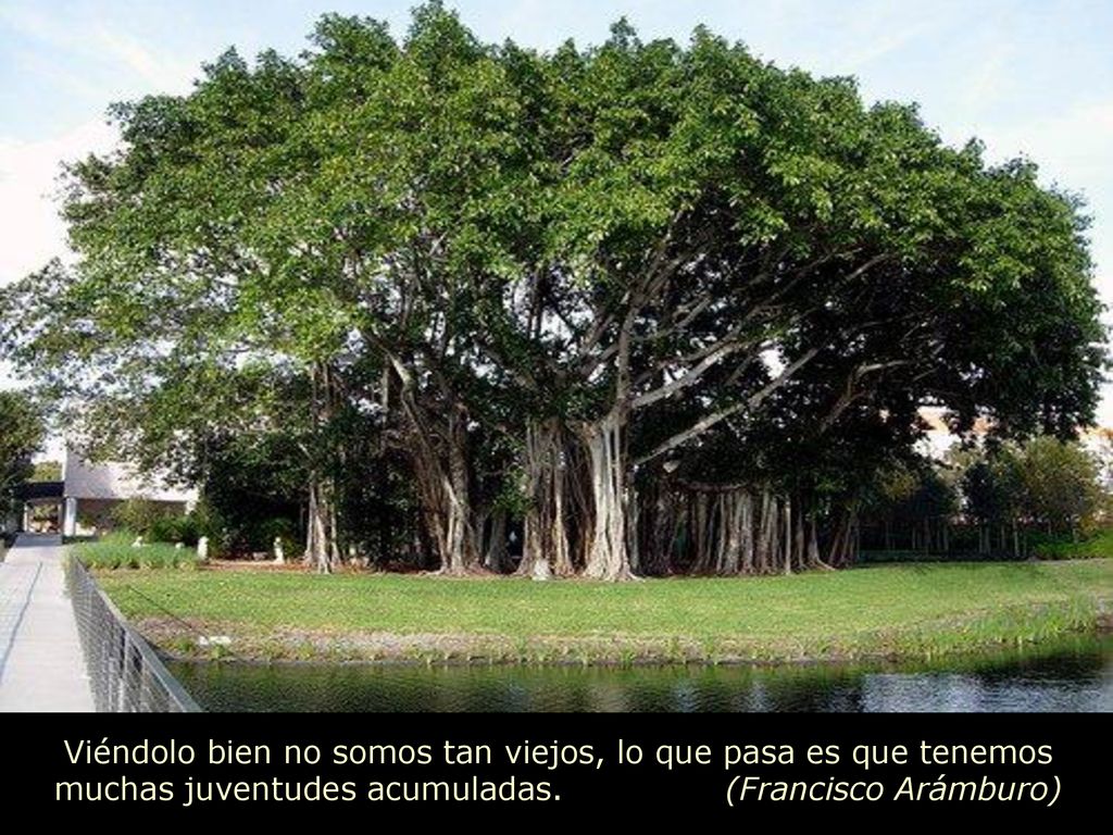 Viéndolo bien no somos tan viejos, lo que pasa es que tenemos muchas juventudes acumuladas.