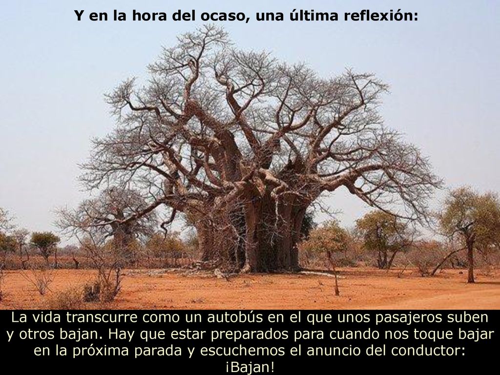 Y en la hora del ocaso, una última reflexión: