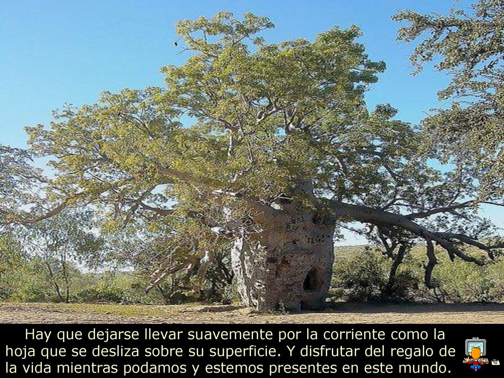 Hay que dejarse llevar suavemente por la corriente como la hoja que se desliza sobre su superficie.