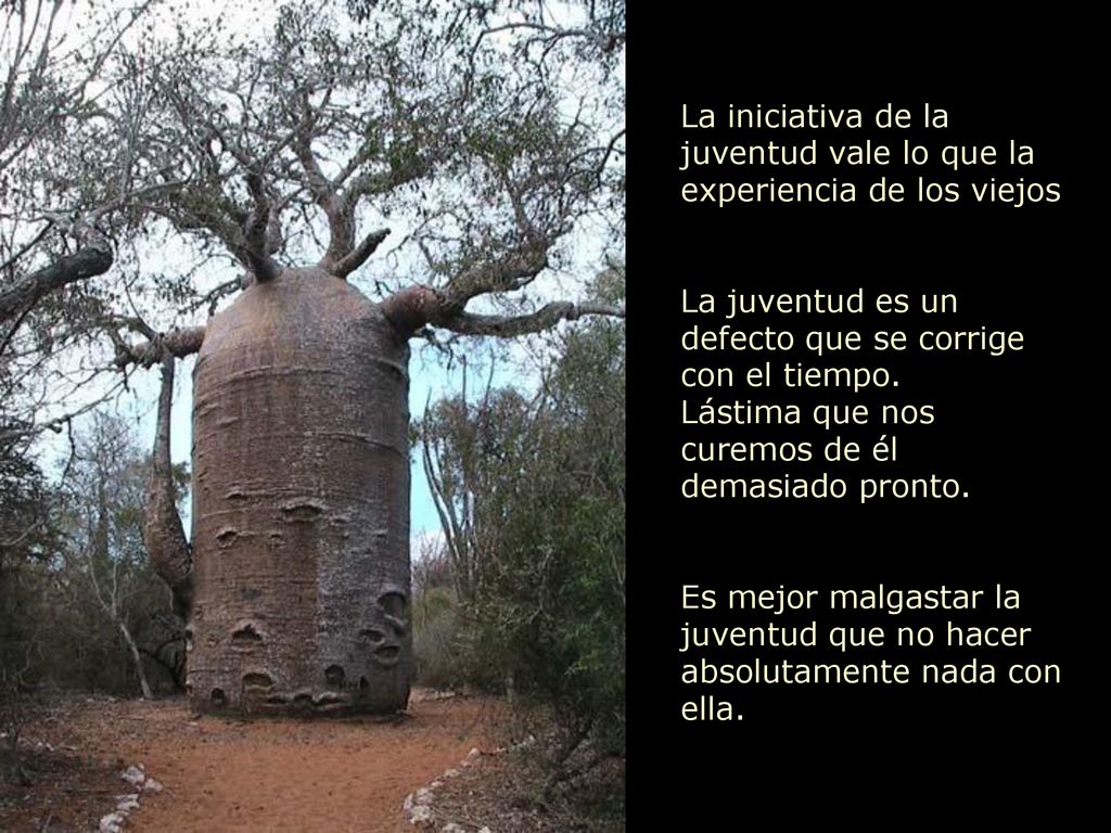 La iniciativa de la juventud vale lo que la experiencia de los viejos