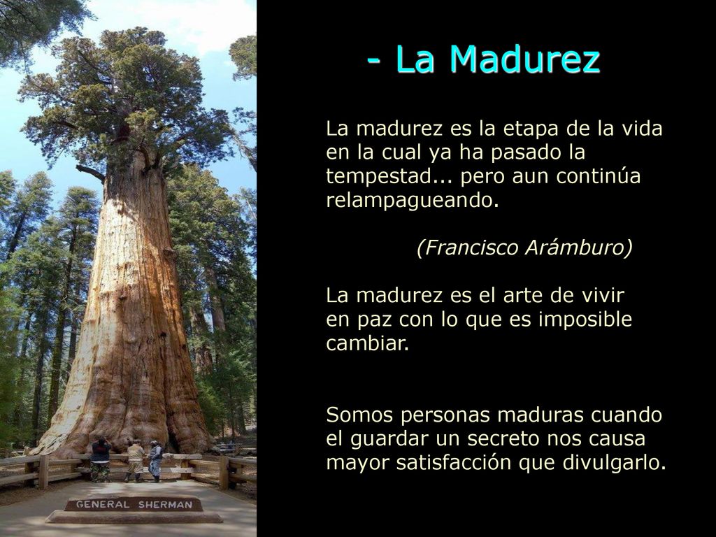 - La Madurez La madurez es la etapa de la vida en la cual ya ha pasado la tempestad... pero aun continúa relampagueando.