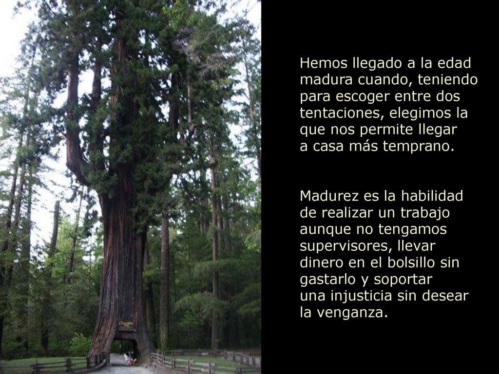 Hemos llegado a la edad madura cuando, teniendo para escoger entre dos tentaciones, elegimos la que nos permite llegar a casa más temprano.