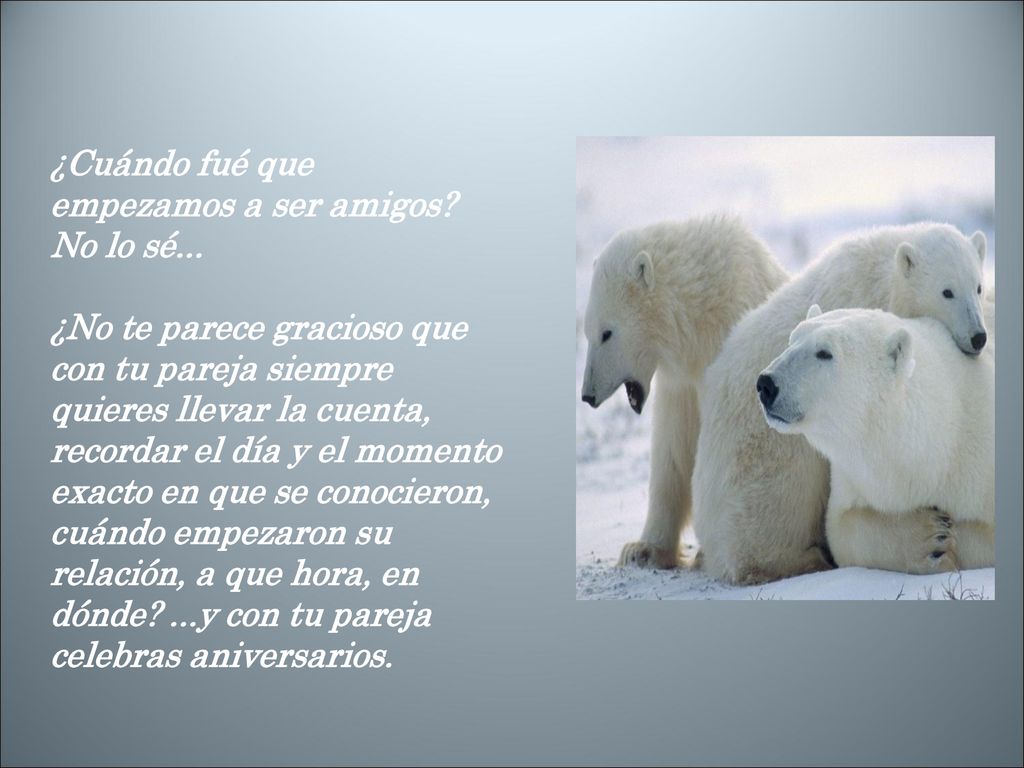 ¿Cuándo fué que empezamos a ser amigos. No lo sé