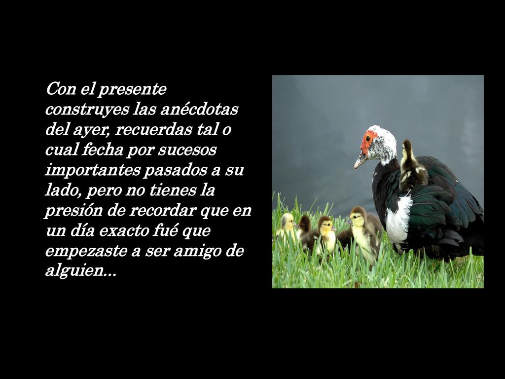 Con el presente construyes las anécdotas del ayer, recuerdas tal o cual fecha por sucesos importantes pasados a su lado, pero no tienes la presión de recordar que en un día exacto fué que empezaste a ser amigo de alguien...