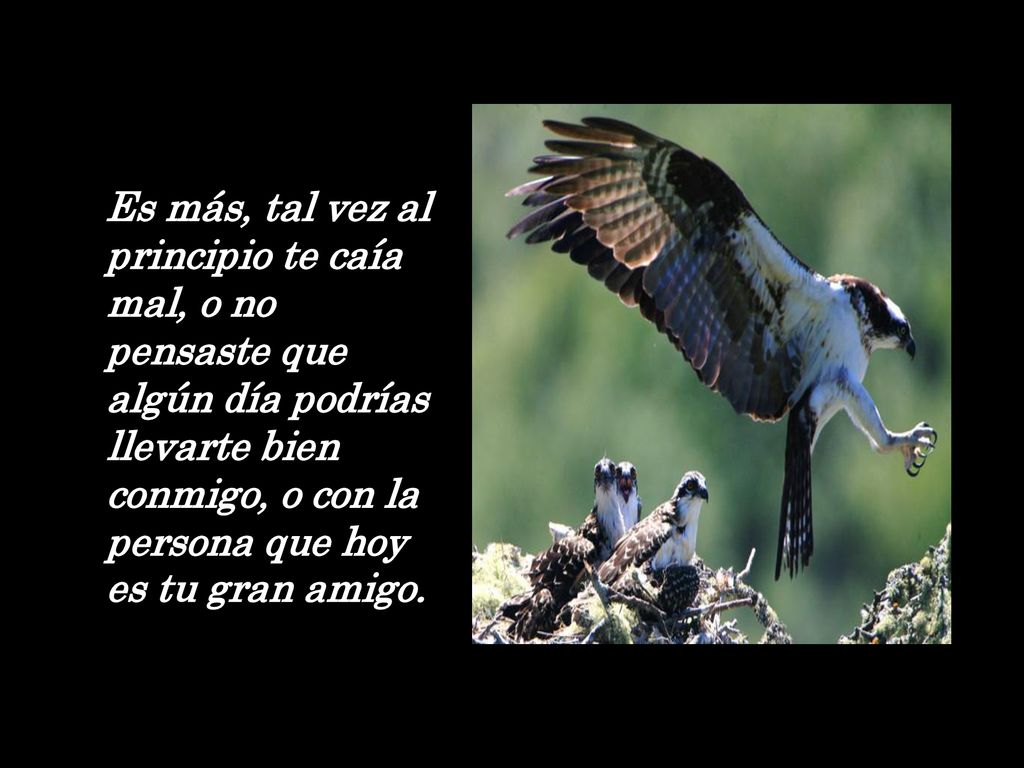 Es más, tal vez al principio te caía mal, o no pensaste que algún día podrías llevarte bien conmigo, o con la persona que hoy es tu gran amigo.