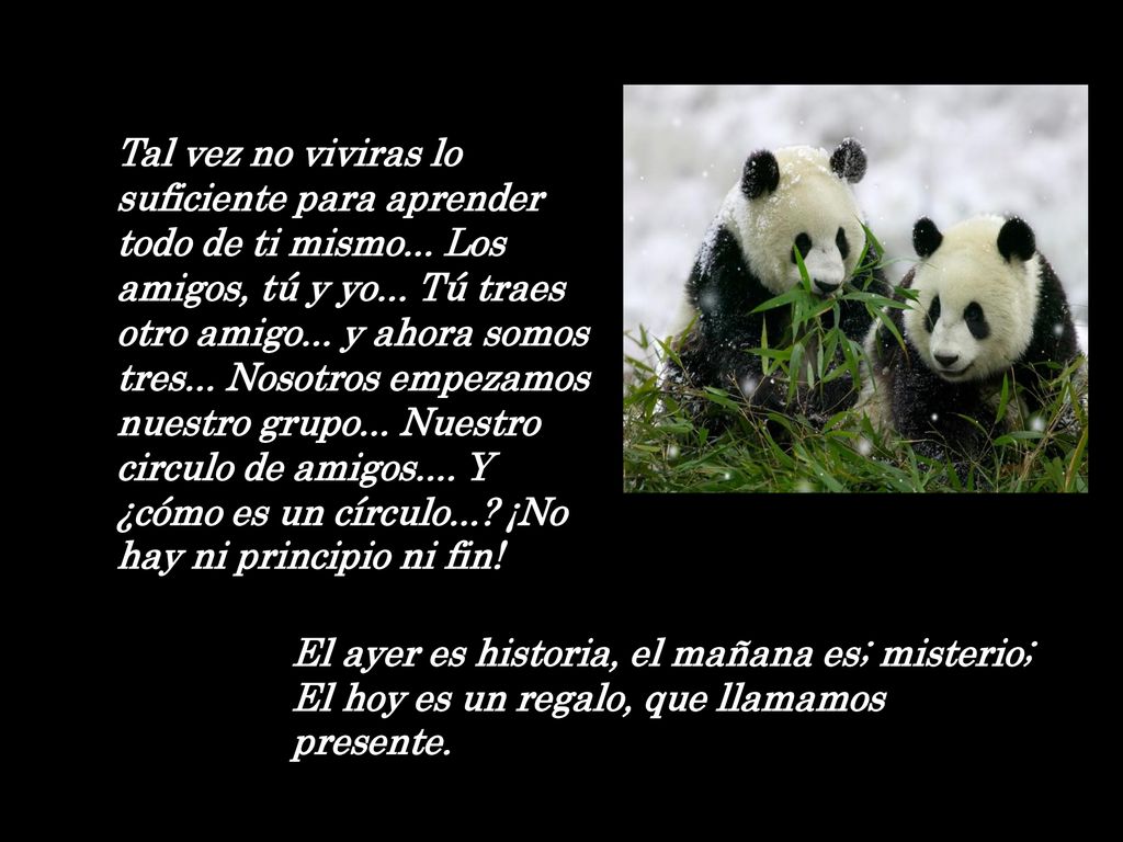Tal vez no viviras lo suficiente para aprender todo de ti mismo
