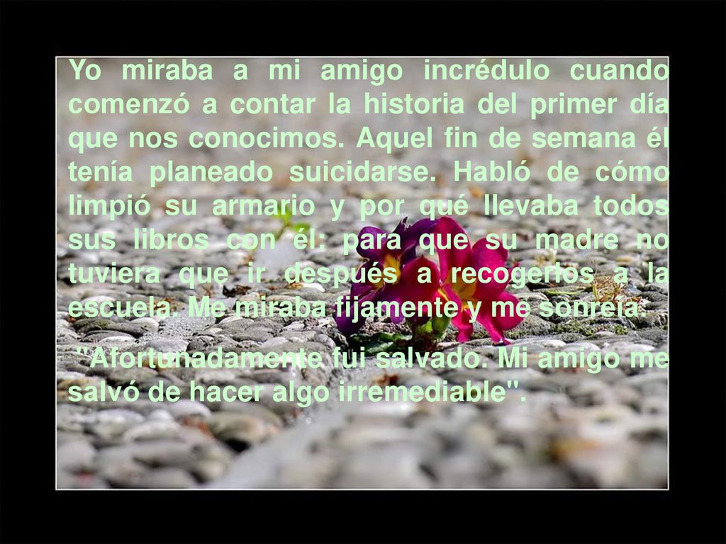 Yo miraba a mi amigo incrédulo cuando comenzó a contar la historia del primer día que nos conocimos. Aquel fin de semana él tenía planeado suicidarse. Habló de cómo limpió su armario y por qué llevaba todos sus libros con él: para que su madre no tuviera que ir después a recogerlos a la escuela. Me miraba fijamente y me sonreía.