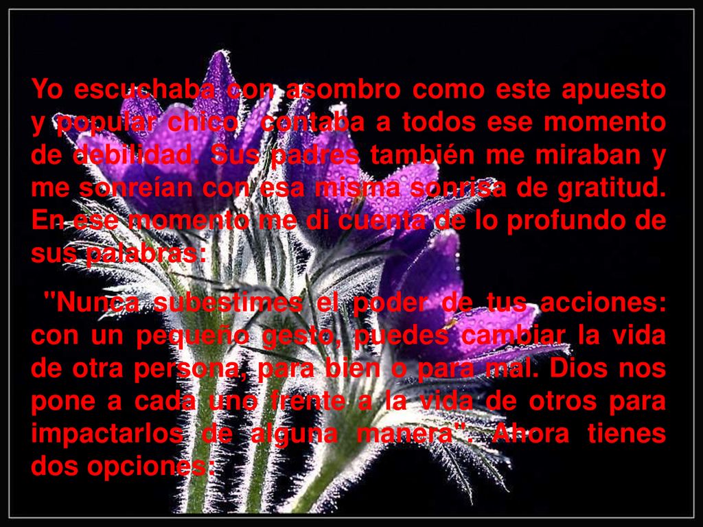 Yo escuchaba con asombro como este apuesto y popular chico contaba a todos ese momento de debilidad. Sus padres también me miraban y me sonreían con esa misma sonrisa de gratitud. En ese momento me di cuenta de lo profundo de sus palabras: