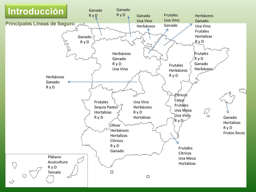 Introducción Principales Líneas de Seguro Ganado R y D Ganado R y D